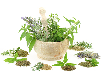 Plant extracts in the composition